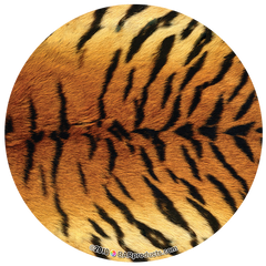 Kolorcoat™ Round Foam Coasters (4 Pack) - Tiger